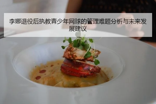 李娜退役后执教青少年网球的管理难题分析与未来发展建议